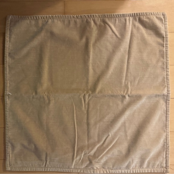 NWOT POTTERY BARN Everywhere Velvet Pillow Case - 20 x 20"- Tan /yellow - Picture 1 of 5